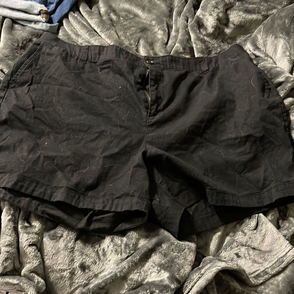 Lane Bryant black dress shorts